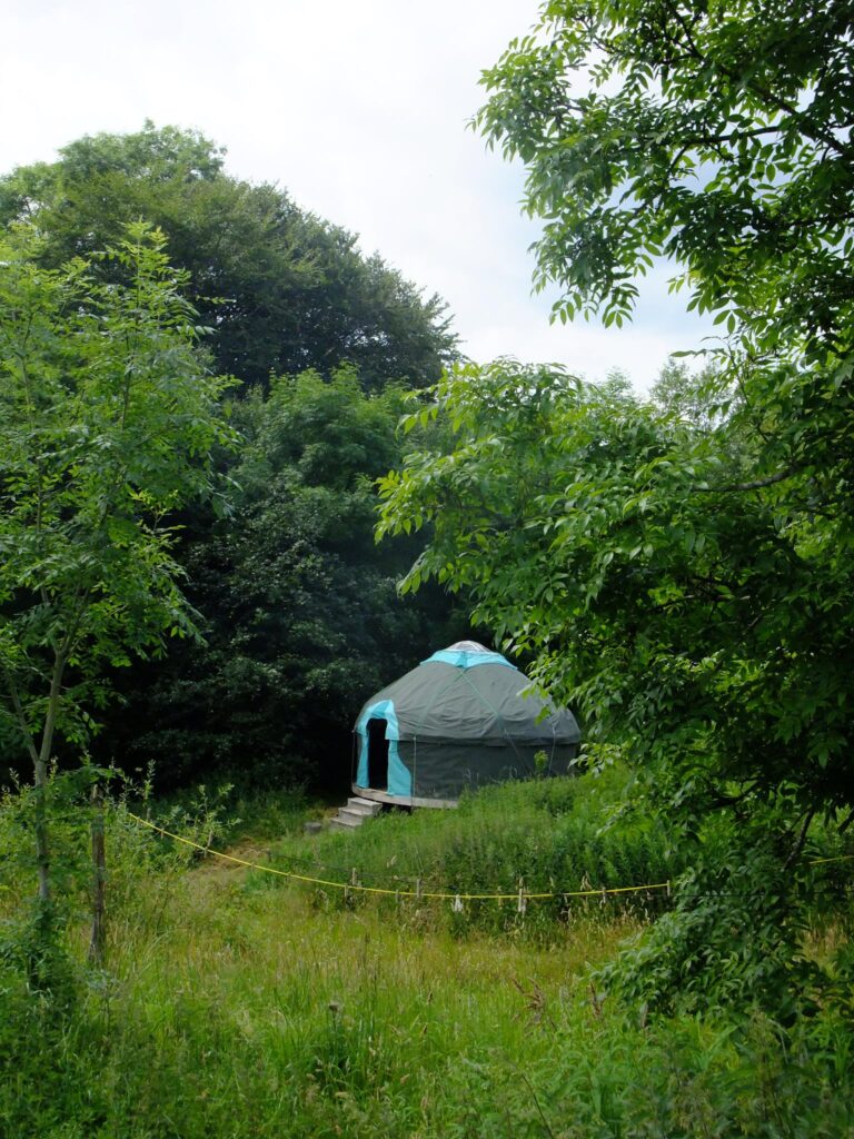 yurt in Drumwhirn
